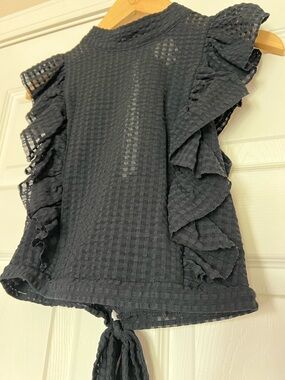 Maeve by Anthropologie Crop Ruffle Mesh Top